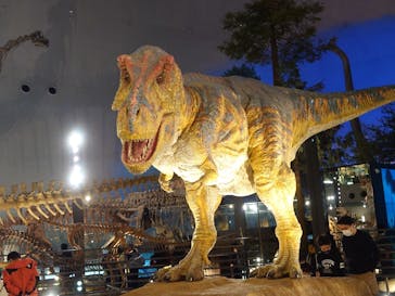 福井県立恐竜博物館に投稿された画像（2025/1/6）