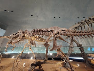 福井県立恐竜博物館に投稿された画像（2025/1/6）