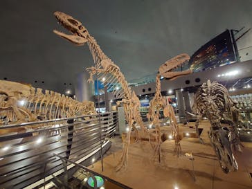 福井県立恐竜博物館に投稿された画像（2025/1/6）