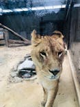 宇都宮動物園に投稿された画像（2025/1/6）