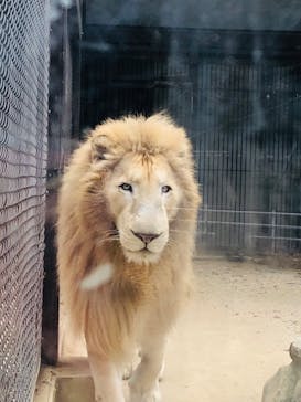 宇都宮動物園に投稿された画像（2025/1/6）