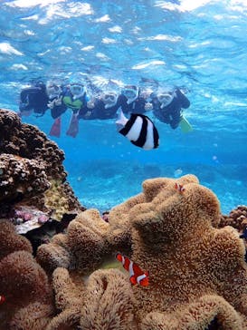 タビワク　宮古島に投稿された画像（2025/1/6）