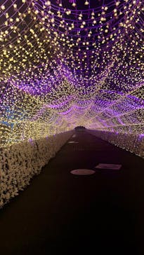 東京メガイルミに投稿された画像（2025/1/6）