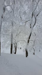 Spur akita mountain guideに投稿された画像（2024/12/31）