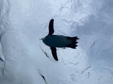 サンシャイン水族館に投稿された画像（2025/1/6）
