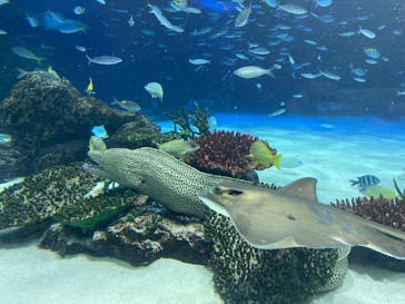 サンシャイン水族館に投稿された画像（2025/1/6）