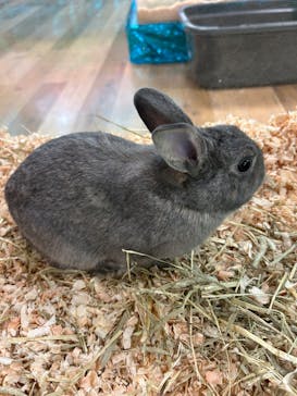 いきもの探検隊湘南に投稿された画像（2025/1/6）