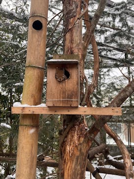 那須どうぶつ王国に投稿された画像（2025/1/6）