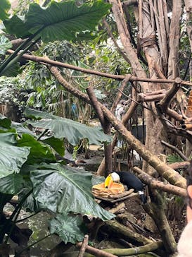 那須どうぶつ王国に投稿された画像（2025/1/6）