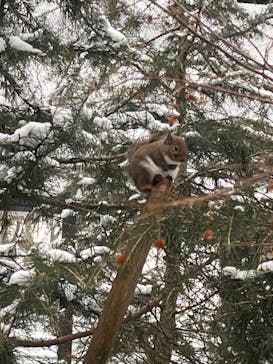 那須どうぶつ王国に投稿された画像（2025/1/6）