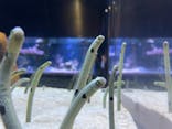すみだ水族館に投稿された画像（2025/1/6）
