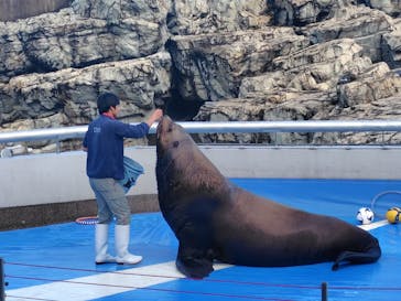 大分マリーンパレス水族館 「うみたまご」に投稿された画像（2025/1/6）