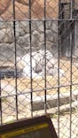 東武動物公園に投稿された画像（2025/1/6）