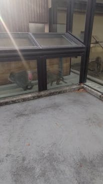 東武動物公園に投稿された画像（2025/1/6）