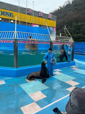 ゼロ距離水族館 伊勢シーパラダイスに投稿された画像（2025/1/6）
