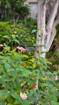 多摩動物公園に投稿された画像（2025/1/6）