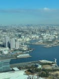 横浜ランドマークタワー 69階展望フロア スカイガーデンに投稿された画像（2025/1/7）