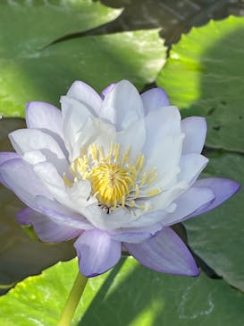 伊豆シャボテン動物公園に投稿された画像（2025/1/7）