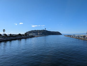 新江ノ島水族館に投稿された画像（2025/1/7）