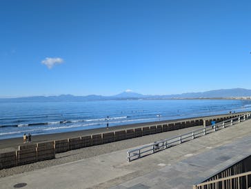 新江ノ島水族館に投稿された画像（2025/1/7）