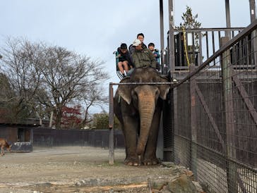 那須サファリパークに投稿された画像（2025/1/7）