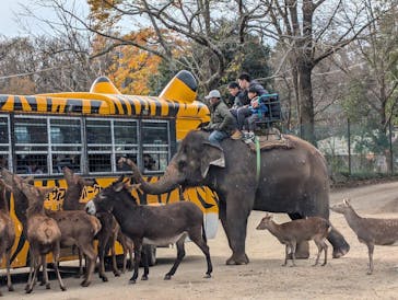 那須サファリパークに投稿された画像（2025/1/7）