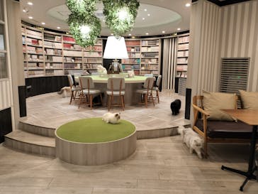 アソビュー！ポイントに投稿された画像（2025/1/7）