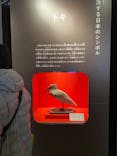 特別展「鳥 ～ゲノム解析が解き明かす新しい鳥類の系統～」国立科学博物館に投稿された画像（2025/1/7）