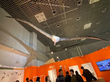 特別展「鳥 ～ゲノム解析が解き明かす新しい鳥類の系統～」国立科学博物館に投稿された画像（2025/1/7）