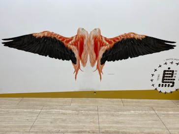 特別展「鳥 ～ゲノム解析が解き明かす新しい鳥類の系統～」国立科学博物館に投稿された画像（2025/1/7）