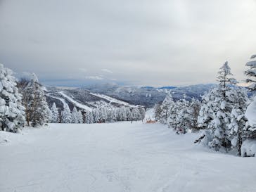 志賀高原焼額山スキー場に投稿された画像（2025/1/7）