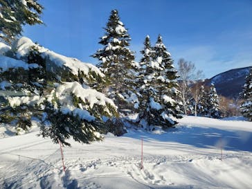 志賀高原焼額山スキー場に投稿された画像（2025/1/7）