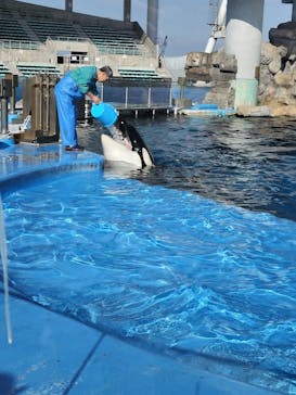 名古屋港水族館に投稿された画像（2025/1/7）