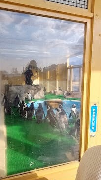 名古屋港水族館に投稿された画像（2025/1/7）