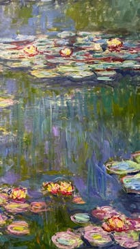 モネ 睡蓮のとき（国立西洋美術館）に投稿された画像（2025/1/7）