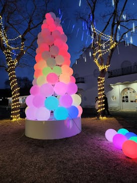 滋賀農業公園ブルーメの丘に投稿された画像（2025/1/7）