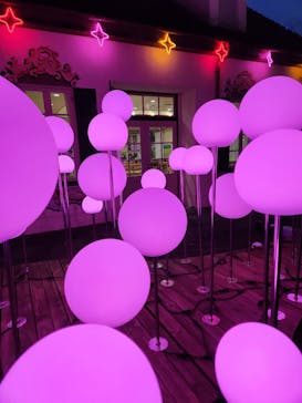 滋賀農業公園ブルーメの丘に投稿された画像（2025/1/7）