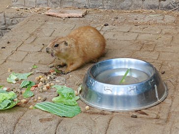 伊豆シャボテン動物公園に投稿された画像（2025/1/7）