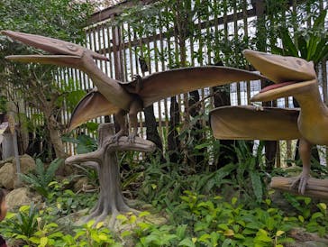 ナゴパイナップルパークに投稿された画像（2025/1/7）