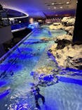 すみだ水族館に投稿された画像（2025/1/7）