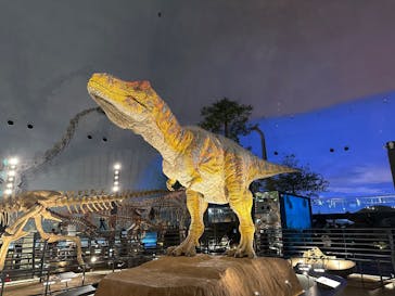福井県立恐竜博物館に投稿された画像（2025/1/7）