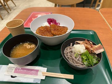 福井県立恐竜博物館に投稿された画像（2025/1/7）