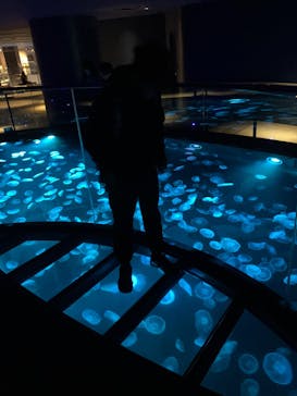 すみだ水族館に投稿された画像（2025/1/7）