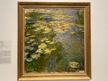 モネ 睡蓮のとき（国立西洋美術館）に投稿された画像（2025/1/7）