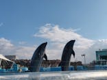 名古屋港水族館に投稿された画像（2025/1/7）