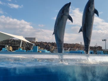 名古屋港水族館に投稿された画像（2025/1/7）