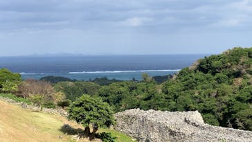 今帰仁城跡に投稿された画像（2025/1/7）