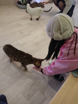 つくばわんわんランドに投稿された画像（2025/1/7）