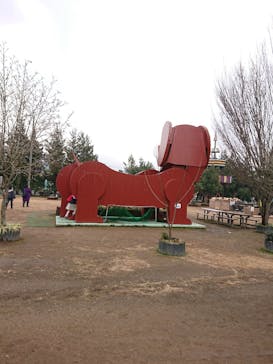 つくばわんわんランドに投稿された画像（2025/1/7）