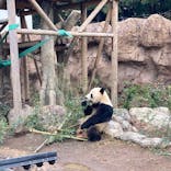 恩賜上野動物園に投稿された画像（2025/1/7）
